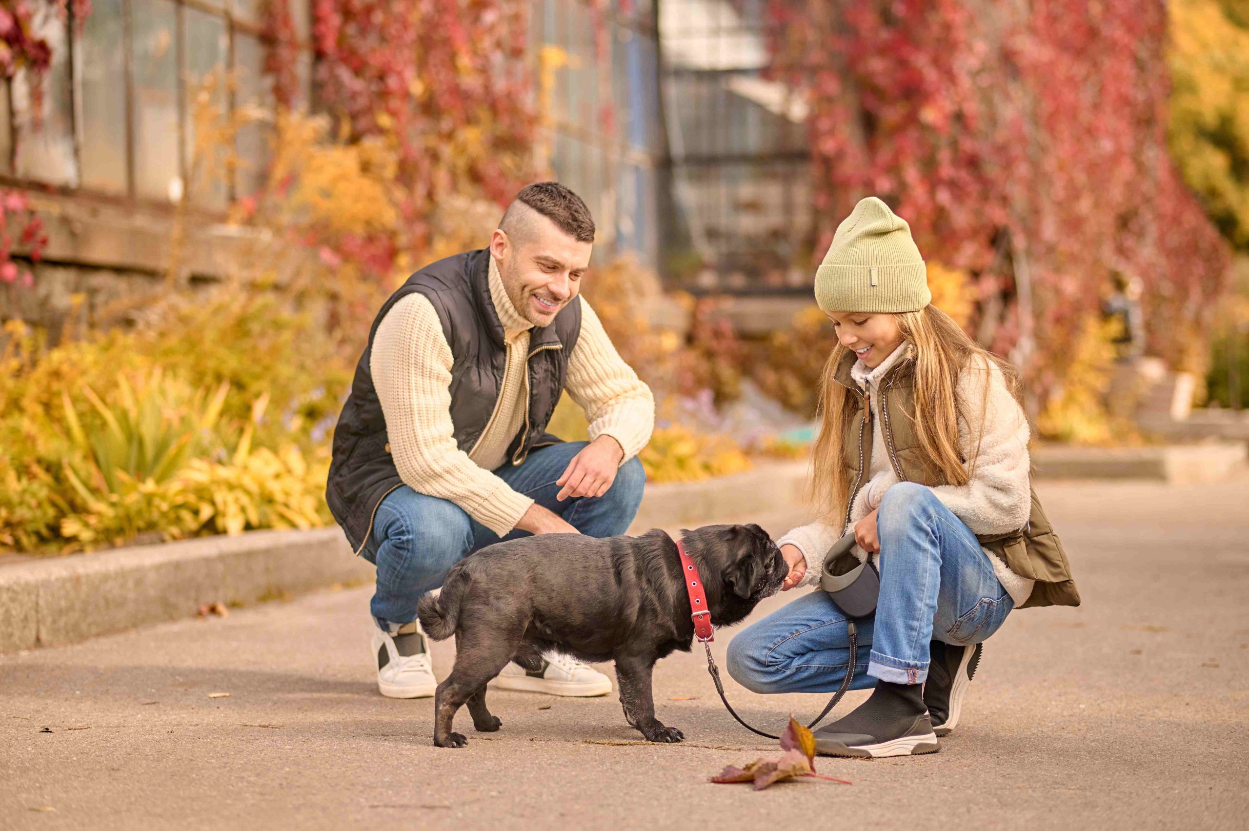 The Biggest Mistakes Dubai Pet Parents Make When Relocating Their Dog